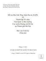 Hỗ trợ Đặc biệt Thực hiện Dự án (SAPI) Về Thành lập Tổ chức Vận hành và Bảo dưỡng Các tuyến Đường sắt Đô thị tại Thành phố Hà Nội