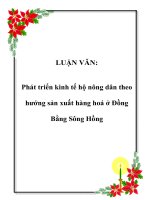 Phát triển kinh tế hộ nông dân theo hướng sản xuất hàng hoá ở Đồng Bằng Sông Hồng
