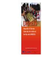 Sáng kiến về Giáo dục Giảm nhẹ rủi ro thiên tai cho Học sinh (DRREIS)