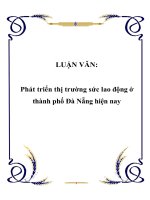 Phát triển thị trường sức lao động ở thành phố Đà Nẵng hiện nay