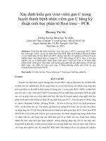 Xác định kiểu gen virut viêm gan C trong huyết thanh bệnh nhân viêm gan C bằng kỹ thuật sinh học phân tử Real time – PCR