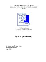 Tiểu luận quy hoạch đô thị