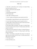 Sáng kiến kinh nghiệm Xây dựng và sử dụng đồ dùng trực quan trong dạy học Lịch sử lớp 10 ở trường THPT chuyên Lê Quý Đôn