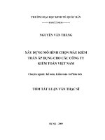 Xây dựng mô hình chọn mẫu kiểm toán áp dụng cho các công ty kiểm toán Việt nam