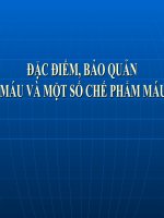 slide đặc điểm, bảo quản máu và một số chế phẩm máu