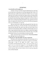 Tự do hoá tài khoản vốn của Việt nam