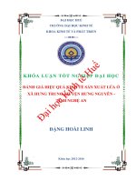 Đánh giá hiệu quả kinh tế sản xuất lúa ở xã Hưng Trung, huyện Hưng Nguyên, tỉnh Nghệ An