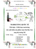 Chiến lược marketing  cho xuất khẩu sản phẩm rượu Sim Bảy Gáo  sang thị trường Mỹ
