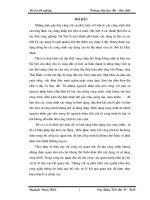 Khóa luận phương pháp xây dựng lưới và xử lý số liệu đo lún công trình cao tầng 