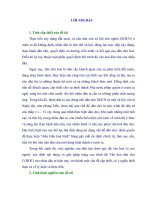 LUẬN án TIẾN sĩ   NÂNG CAO TRÌNH độ văn hóa dân CHỦ của NHÂN dân TRONG QUÁ TRÌNH xây DỰNG nền dân CHỦ xã hội CHỦ NGHĨA ở nước TA HIỆN NAY