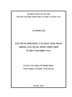 Xây dựng đời sống văn hóa tinh thần trong xây dựng nông thôn mới ở Việt Nam hiện nay