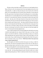 Thiết kế lại mô hình tổ chức quản trị tại Công ty cổ phần xà phòng Hà Nội