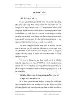 Tác động Đầu tư công đến tăng trưởng của Tỉnh Long An - Tài liệu, ebook, giáo trình