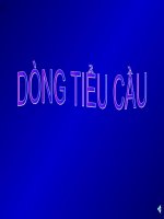slide dòng tiểu cầu