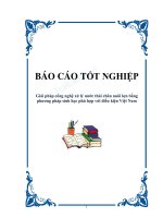 Luận văn Giải pháp công nghệ xử lý nước thải chăn nuôi lợn bằng phương pháp sinh học phù hợp với điều kiện Việt Nam