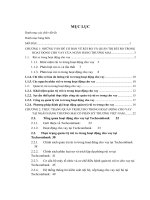 Quản trị rủi ro trong hoạt động cho vay tại ngân hàng thương mại cổ phần kỹ thương Việt nam