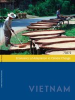 Economics of adaptation to climate change  vietnam 