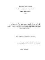 “ nghiên cứu, đánh giá khả năng xử lý asen trong nước ngầm bằng hyđroxit sắt theo dạng mẻ