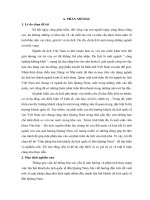 Tiểu luận Giải pháp thu hút khách du lịch quốc tế đến Quảng Nam