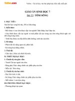 Giáo án Sinh học 7 bài Tôm sông