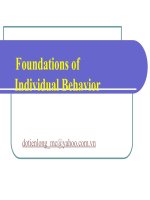 session2 foundatings of individual behavior 