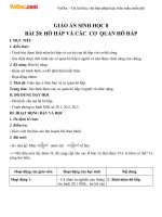 Giáo án Sinh học 8 bài Hô hấp và các cơ quan hô hấp