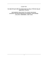 Xác định kế hoạch chiến lược kinh doanh của công ty XNK thủ công mỹ nghệ ĐONG THANH