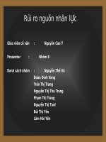 TÀI LIỆU HAY về rủi RO NGUỒN NHÂN lực