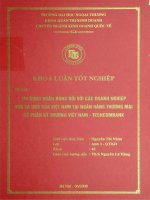 Tín dụng ngân hàng đối với các doanh nghiệp vừa và nhỏ của việt nam tại ngân hàng thương mại cổ phần kỹ thương việt nam   techcombank 