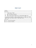 Tiểu luận Đầu tư quốc tế Mua lại và Sáp nhập (M&A) trong hệ thống ngân hàng Việt Nam