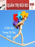 BÀI THUYẾT TRÌNH TÀI LIỆU QUẢN TRỊ rủi RO   quản trị rủi ro nguồn nhân lực