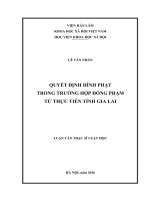 Quyết định hình phạt trong trường hợp đồng phạm từ thực tiễn tỉnh Gia Lai
