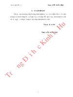 Thu hút vốn đầu tư vào khu công nghiệp ở tỉnh thừa thiên huế 