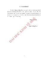 Hoàn thiện chiến lược kinh doanh của công ty cổ phần thiên tân, tỉnh quảng trị 