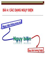Bài Giảng Các Dạng Ngụy Biện