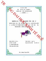 Hoàn thiện hệ thống phân phối sữa dutch lady của công ty TNHH TMDV đức lợi tại thị trường thành phố đông hà, quảng trị 