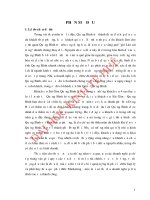 Hoàn thiện chính sách marketing   mix tại khách sạn sài gòn quảng bình 