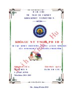 Hiệu quả kinh tế chăn nuôi lợn thịt của các hộ nông dân ở xã cẩm thịnh, huyện cẩm xuyên, tỉnh hà tĩnh 