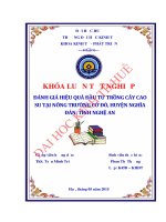 Đánh giá hiệu quả đầu tư trồng cây cao su tại nông trường cờ đỏ, huyện nghĩa đàn,tỉnh nghệ an 