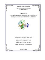 Bai tieu luan CAM BIEN SINH HOC DIEN HOA CA