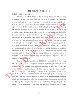 Nâng cao năng lực cạnh tranh của công ty TNHH thương mại dịch vụ xuất nhập khẩu điện tử hữu lai tiền giang 