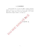 VIỆC làm CHO LAO ĐỘNG NÔNG THÔN HUYỆN lệ THỦY, TỈNH QUẢNG BÌNH 