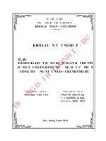 Đánh giá hoạt động kiểm soát rủi ro tín dụng tại ngân hàng thương mại cổ phần công thương việt nam – chi nhánh huế 
