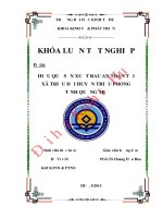 Hiệu quả sản xuất rau an toàn tại xã triệu đại huyện triệu phong tỉnh quảng trị 