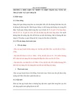 Khóa luận thiết kế quy hoạch khu dân cư đắk cấm thuộc thành phố kon tum 