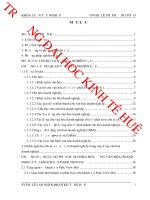 Đo lường văn hóa doanh nghiệp bằng mô hình CHMA tại khách sạn park view huế 