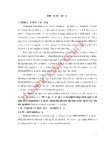 Nâng cao năng lực cạnh tranh sản phẩm cao su trên địa bàn tỉnh thừa thiên huế 