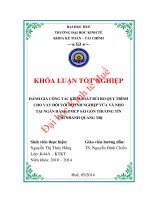 Đánh giá công tác kiểm soát rủi ro quy trình cho vay đối với doanh nghiệp vừa và nhỏ tại ngân hàng TMCP sài gòn thương tín – chi nhánh quảng trị 