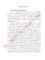 Định hướng và giải pháp thu hút đầu tư trực tiếp nước ngoài ở tỉnh bình định trong giai đoạn hiện nay 