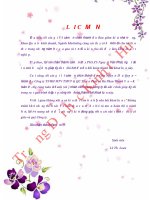 Đánh giá hệ thống kênh phân phối của công ty trách nhiệm hữu hạn một thành viên thương mại vận tải và quảng cáo thuận phát về sản phẩm mì ăn liền acecook tại phía nam thừa thiên huế 